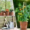 A split image showing potted plants and gardening tools on one side, and a tomato plant in a pot on the other. Produktbild-Vorschau