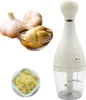 A collage of garlic and a garlic chopper. Náhľad obrázku produktu