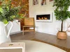 A modern living room with a white ethanol fireplace, a wooden chair, and a potted plant. Anteprima dell’immagine prodotto