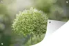 MuchoWow® Produktbild-Vorschau 1