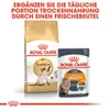 Royal Canin Feline Siamese - 2 kg Produktbild-Vorschau 5