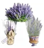 20 Servietten Lavender in Bucket - Lavendel im Topf 33x33cm Produktbild-Vorschau 2