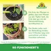 Neudorff SF Nematoden gegen Trauermücken - 5 Mio - für 50 Produktbild-Vorschau 6