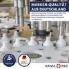 HANSE PRO Kamin- und Ofenscheiben-Reiniger 500ml (1er Pack) Produktbild-Vorschau 4