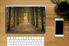 MuchoWow® Laptop Aufkleber Sticker Cover Pfad - Bäume - Produktbild-Vorschau 2