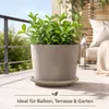 Pflanztopfuntersetzer Mira Taupe Ø 29cm - Frostsicher & Produktbild-Vorschau 2