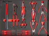 Carrello portautensili R6 con 304 utensili | 7 cassetti - Anteprima dell’immagine prodotto 8