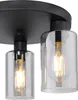 Close-up of a black ceiling light fixture with two glass shades and exposed Edison-style bulbs. Anteprima dell’immagine prodotto