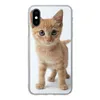 MuchoWow® Handyhülle Schutzhülle Hülle für iPhone X Katze - Produktbild-Vorschau 1