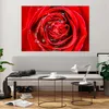 Bilder auf glas - Rose Blume Blütenblätter Tau - 120x80cm - Produktbild-Vorschau 6