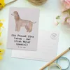 Mr. & Mrs. Panda Postkarte Irish Water Spaniel Freund - Produktbild-Vorschau 3
