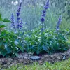 GARDENA Bodenfeuchtesensor 01867-20 Produktbild-Vorschau 38