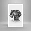 Poster - Poster ohne Rahmen - Bär Tier - 61x91,5 cm - Wand Produktbild-Vorschau 4