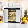 A food dehydrator filled with dried fruits and vegetables, surrounded by fresh fruits and a container of dried ingredients. Anteprima dell’immagine prodotto