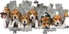 Puzzle CLE 1000 Panorama Compact Beagles 39869 Voir les images du produit 5