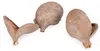 Badam Schote Natur 8–12 cm Sterculia foetida Herzfrucht Produktbild-Vorschau 3