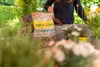 Floragard Blähton Tongranulat zur Drainage - Produktbild-Vorschau 10