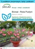 SAFLAX - Zestaw prezentowy - Bonsai - Róża Pustyni - 8 Podgląd zdjęcia produktu 1