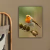 MuchoWow® - Leinwandbilder - Vogel - Rotkehlchen - Produktbild-Vorschau 5