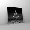 Bilder auf glas - Einteilig - Tänzerin Frau Ballerina - Produktbild-Vorschau 4