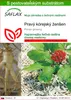 SAFLAX - Pravý kórejský ženšen - Panax ginseng - 10 Semená Náhľad obrázku produktu 1