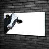 Tulup® Glas-Bild - 100x50 -Wandkunst - Wandbild hinter Produktbild-Vorschau 2