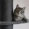 60 cm Tronc en sisal pour arbre à chat Tronc de Voir les images du produit 9