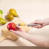 Drylownica Do Jabłek Wydrążacz Do Owoców Stalowy Gruszek Do Podgląd zdjęcia produktu 9