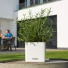 LECHUZA stolový kvetináč CUBE Farba 14 Biela | kvetináč so Náhľad obrázku produktu 20