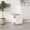 A white storage box with a gray cushion on top, placed in a room with a plant and a cabinet. Anteprima dell’immagine prodotto