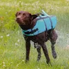 Taglia: S - Salvagente per cani SHARKY - con pinna di Anteprima dell’immagine prodotto 3