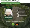 Winterblumenkohl Walcheren Samen - Brassica oleracea Produktbild-Vorschau 9