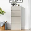 A tall, narrow shoe cabinet with four flip-down drawers stands against a white wall. Decorative plants and framed pictures are on top of the cabinet. A wicker basket with blankets is to the left. Voir les images du produit