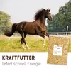 Supravit Hafer ganz 2,5kg | Frischer gelber Futterhafer Produktbild-Vorschau 3