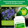Purgrün Agapanthus Dünger | Flüssigdünger für Blütenpracht Produktbild-Vorschau 4