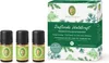 Zestaw Primavera Zapachowa moc lasu Podgląd zdjęcia produktu 1