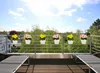A balcony with a railing and potted flowers, overlooking trees and buildings. Produktbild-Vorschau