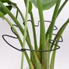5 Stück schwarze Monstera-Pflanzenstützen (19 x 17 cm) – Produktbild-Vorschau 1