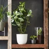Blumenübertopf "Tusca" aus Keramik H 13 cm – Ø 13,5 Fuchsia Produktbild-Vorschau 3