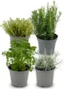 Mélange d'herbes italiennes - 4 pièces - Ø 12 cm - Hauteur Voir les images du produit 1
