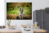 MuchoWow® Poster Französische Bulldogge - Herbst - Produktbild-Vorschau 3