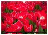 Tulpen (Wandkalender 2027 DIN A4 quer), CALVENDO Produktbild-Vorschau 4