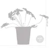 Bloomique - Zestaw 3 sztuk - Geranium Johnsons Blue - Podgląd zdjęcia produktu 4