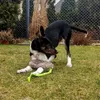 Jouet pour chien Dingo en Fourrure artificielle + poignée Voir les images du produit 6