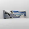Bild auf Leinwand - Leinwandbild - Snowboard Schnee Sport - Produktbild-Vorschau 4
