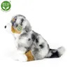 Peluche Pastore Australiano 30 Cm Ecologico Anteprima dell’immagine prodotto 7