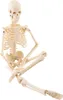 1szt ludzki model anatomiczny szkieletu Medyczne narzędzie Podgląd zdjęcia produktu 4