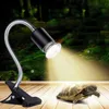 A reptile lamp with a flexible neck and clip base is positioned above a tortoise on a wooden surface, with a mossy, green background. Voir les images du produit