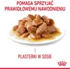 Royal Canin Feline Multipack Urinary Care in Sosse 12x85g Produktbild-Vorschau 3