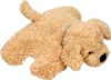 Coppenrath Verlag GmbH & Co.KG Schmusekissen Hund Justus Produktbild-Vorschau 2
